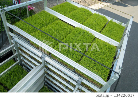 Agriculture Agriculture 134220017