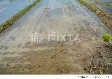 various various 134220023