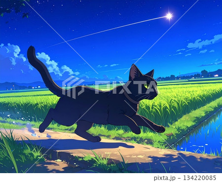 流れ星を追いかける猫 134220085