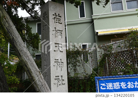 鎌倉　荏柄天神社の景色 134220105