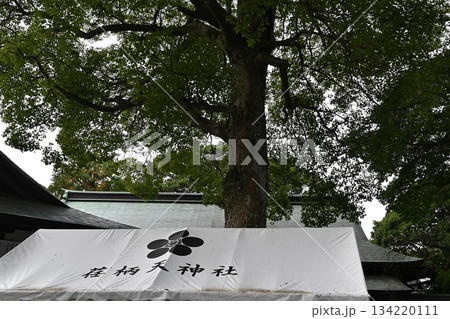 鎌倉　荏柄天神社の景色 134220111
