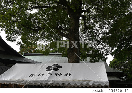 鎌倉　荏柄天神社の景色 134220112
