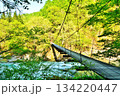 新緑の秘境秋山郷揺れる吊り橋見倉橋 134220447