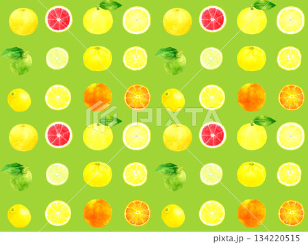 フレッシュな柑橘類のシームレスパターン　手描き水彩イラストの果物柄 134220515