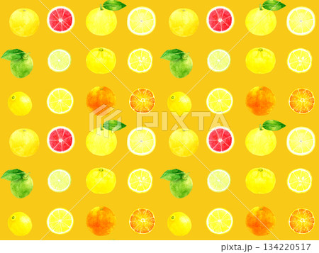 フレッシュな柑橘類のシームレスパターン　手描き水彩イラストの果物柄 134220517