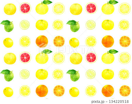 フレッシュな柑橘類のシームレスパターン　手描き水彩イラストの果物柄 134220518