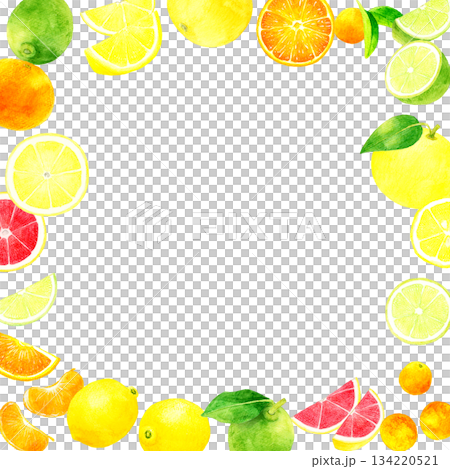 Fresh citrus frame Hand-drawn watercolor illustration of fruits 134220521