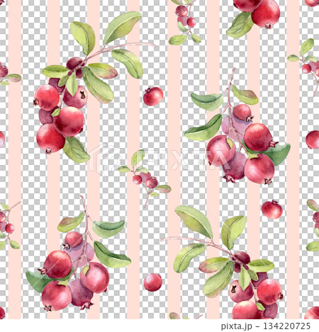 Lingonberry watercolor on stripped seamless pattern isolated on. Hand drawn branches with red berries on paintbrush lines repeated texture. Botanical motif on stripes for fabric design, backdrop. Lingonberry watercolor on stripped seamless pattern isolated on. Hand drawn branches with red berries on paintbrush lines repeated texture. Botanical motif on stripes for fabric design, backdrop. 134220725