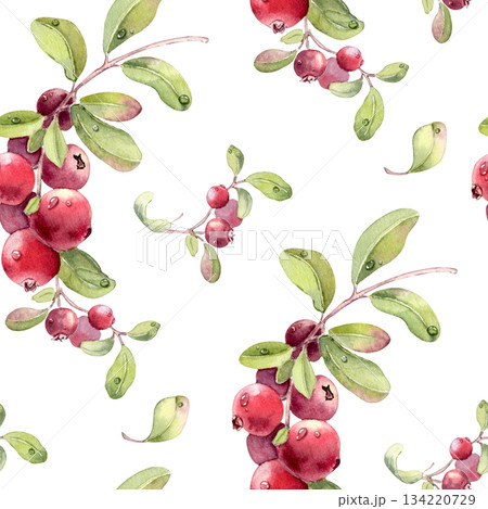 Watercolor lingonberry and cranberry seamless pattern on white. Hand drawn berry fruit illustration with green leaves and dewdrop for botanical repeat background. Summer print of fresh red berries. Watercolor lingonberry and cranberry seamless pattern on white. Hand drawn berry fruit illustration with green leaves and dewdrop for botanical repeat background. Summer print of fresh red berries. 134220729