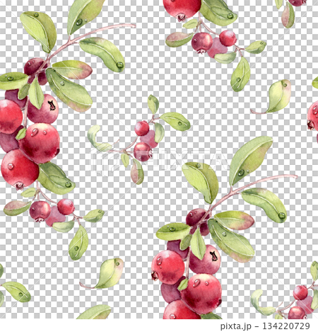 Watercolor lingonberry and cranberry seamless pattern on white. Hand drawn berry fruit illustration with green leaves and dewdrop for botanical repeat background. Summer print of fresh red berries. Watercolor lingonberry and cranberry seamless pattern on white. Hand drawn berry fruit illustration with green leaves and dewdrop for botanical repeat background. Summer print of fresh red berries. 134220729