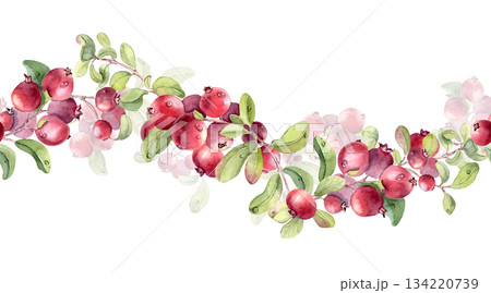 Lingonberry branch with red berries and green leaves watercolor illustration isolated on. Seamless border of cranberry hand painted. Botanical repeat for design element, border, frame, card, pattern. 134220739