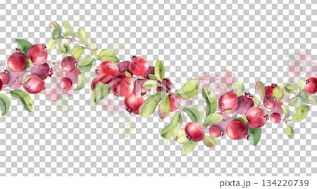 Lingonberry branch with red berries and green leaves watercolor illustration isolated on. Seamless border of cranberry hand painted. Botanical repeat for design element, border, frame, card, pattern. 134220739