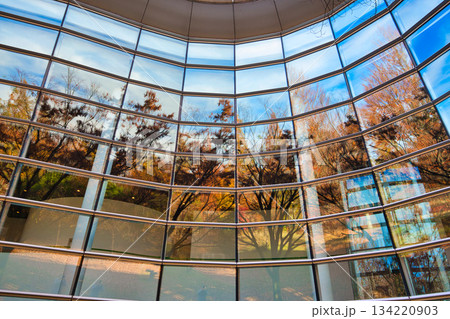 紅葉を迎えた市立美術館 134220903