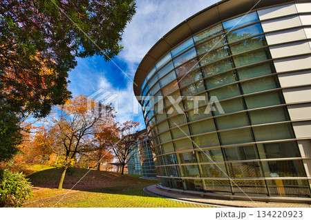 紅葉を迎えた市立美術館 紅葉を迎えた市立美術館 134220923