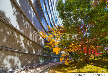 紅葉を迎えた市立美術館 紅葉を迎えた市立美術館 134220924