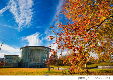 紅葉を迎えた市立美術館 134220963