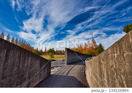 紅葉を迎えた市立美術館 134220964
