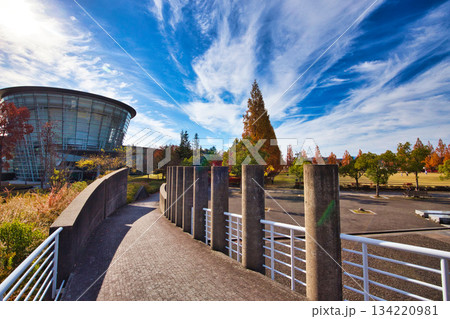 紅葉を迎えた市立美術館 紅葉を迎えた市立美術館 134220981