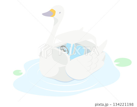 スワンボートのイラスト 134221198