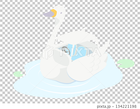 天鵝船插圖 134221198