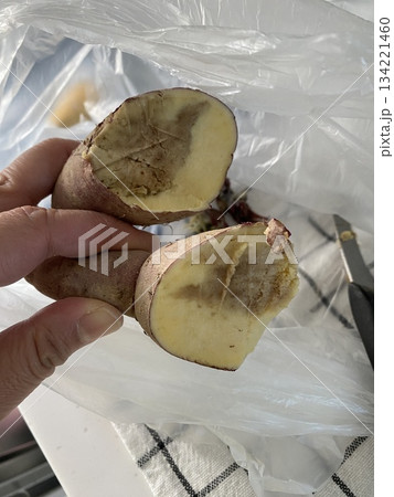 Halved Sweet Potato Halved Sweet Potato 134221460