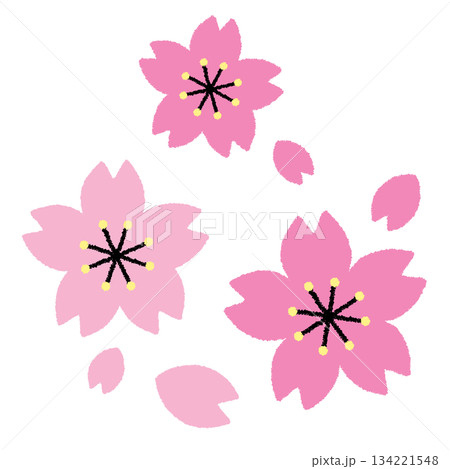 桜の花のイラスト 134221548