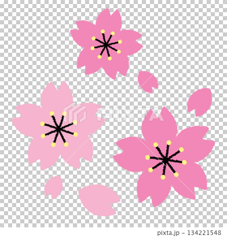 桜の花のイラスト 134221548