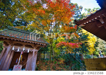 秋の剣神社 134221588