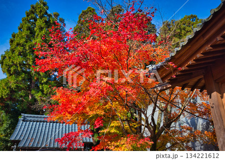 秋の剣神社 134221612