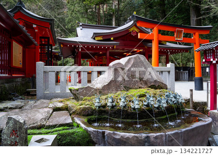 箱根神社　九頭龍神社　境内 134221727