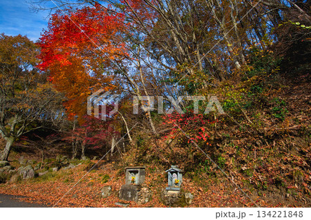 里山の晩秋 里山の晩秋 134221848