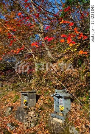 里山の晩秋 134221849