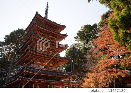 紅葉に包まれる秋の山寺 紅葉に包まれる秋の山寺 134221894