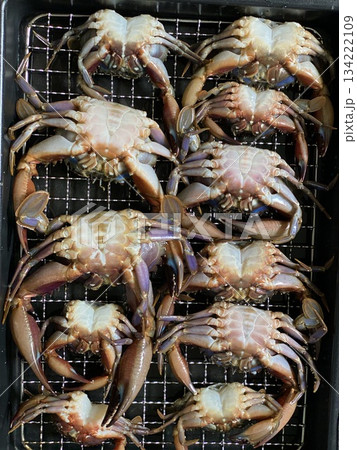Boiled Crab 134222109
