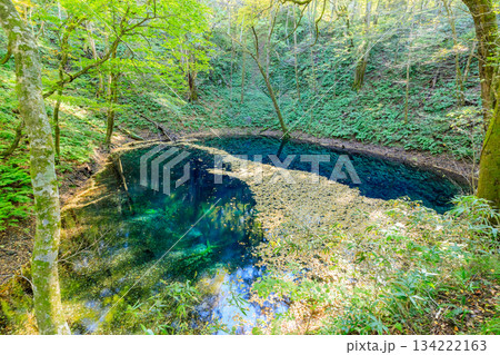 秋の青池　青森県西津軽郡 134222163