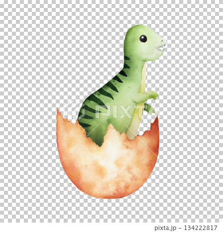 Cute dinosaur hatched from an egg. Watercolor hand drawn prehistoric Tyrannosaurus Rex animal. Isolated illustration on transparent background. Perfect for for nursery and baby shower, tropical design 134222817