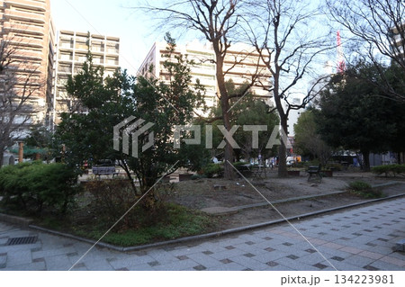2024年・福岡・福岡市・風景・中央区舞鶴・長浜公園・其の七 134223981