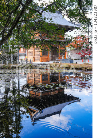 丹生大師神宮寺　仁王門 134223987