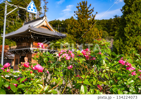 丹生大師神宮寺　仁王門 134224073