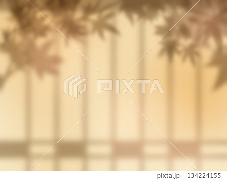 障子と紅葉の影が壁に映る背景素材 障子と紅葉の影が壁に映る背景素材 134224155