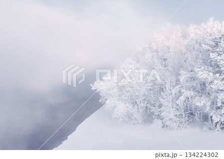 A winter scene in Krasnoyarsk, Russia, features trees blanketed in frost. The landscape shows a snowy ground and fog rolling in, marking the holiday season. High quality photo 134224302