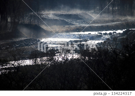 川辺に立ち込める霧と針葉樹の幻想的なシルエット 134224317