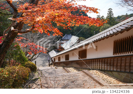 丹生大師神宮寺 紅葉 丹生大師神宮寺 紅葉 134224336