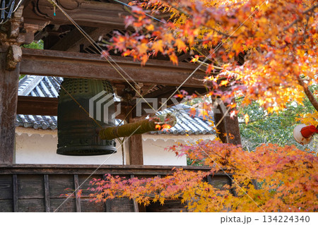 丹生大師神宮寺 紅葉 丹生大師神宮寺 紅葉 134224340