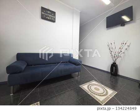Modern Waiting Room with Blue Sofa and Decor 134224849