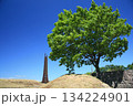 百年記念塔 134224901