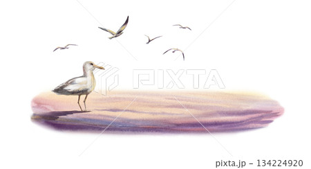 Seagulls set in flight,featuring a large detailed side view bird alongside silhouetted companions and the sandy sunset coast.Hand drawn watercolor template,coastal scene for nautical and travel blogs 134224920
