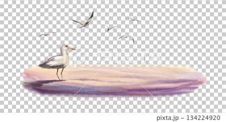 Seagulls set in flight,featuring a large detailed side view bird alongside silhouetted companions and the sandy sunset coast.Hand drawn watercolor template,coastal scene for nautical and travel blogs 134224920