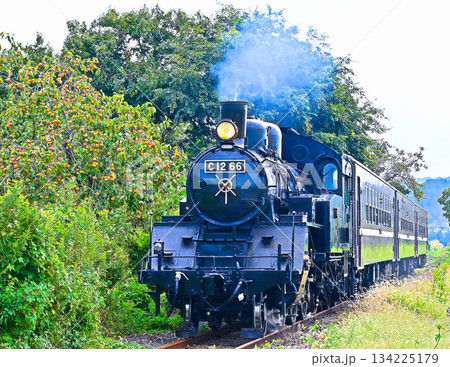 真岡鉄道の蒸気機関車 真岡鉄道の蒸気機関車 134225179