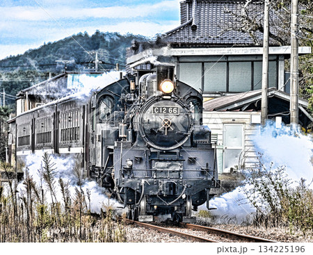 真岡鉄道の蒸気機関車 真岡鉄道の蒸気機関車 134225196